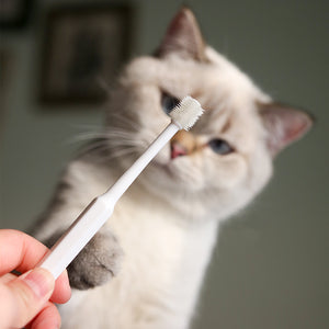 360° OmniBrush Dental Care